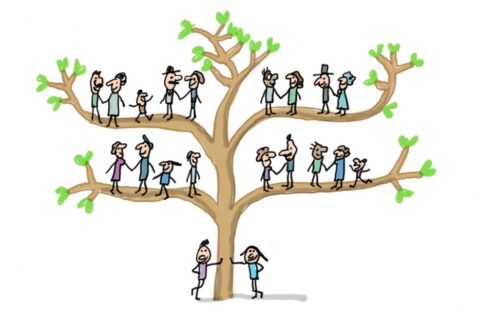 Arbre généalogique dessin